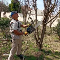 خدمات باغی صفرتاصد باتحصیلات عالی دراین زمینه|خدمات باغبانی و درختکاری|آمل, |دیوار