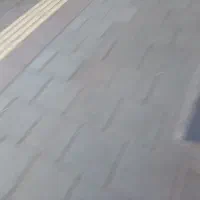 طعمه  م ار م اه ی