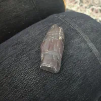 سنگ قیمتی|کلکسیون اشیاء عتیقه|قم, ولیعصر|دیوار