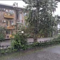 شمال ارزان و با کیفیت