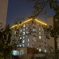 نگهبان /برج/ مسکونی|استخدام سرایداری و نظافت|تهران, چوب تراش|دیوار