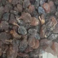 فروش عمده و خورده کشمش شیره انگور شیره خرما