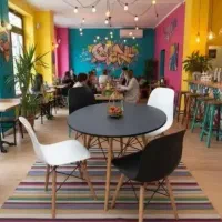 میزو صندلی نهارخوری پلاستیکی