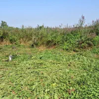 فروش زمین ۱۰۰متری داخل طرح هادی ویشکاننک سنگر