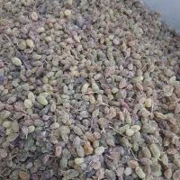 کشمش اسما اعلا قیمت ۳۵۰|خوردنی و آشامیدنی|قیدار, |دیوار