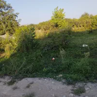 5-زمین-داخل-بافت-روستایی