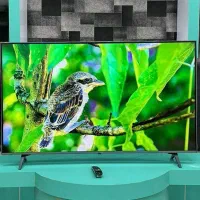 فروشگاه لوازم خانگی نقشبندی تلوزیون الجی