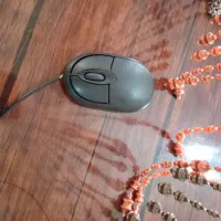 موس و کیبورد|رایانه همراه|قیدار, |دیوار