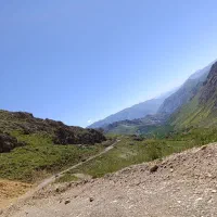 پرستار سالمند