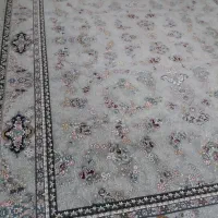 ۲تخته‌۱۲متری‌۷۰۰شانه‌‌تراکم‌۲۵۵۰‌اصل|فرش|مهاباد (آذربایجان غربی), |دیوار