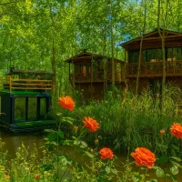 فروش ویلای vip شیشه ای و چوبی