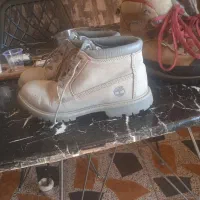 کفش خارجی|کیف، کفش، کمربند|یاسوج, |دیوار