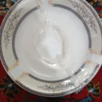نعلبکی بسته بندی شده نو