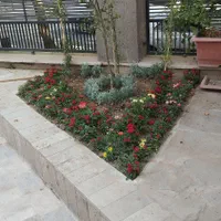 خدمات باغبانی و باغچه کار و تعویض گلدان|خدمات باغبانی و درختکاری|تهران, اختیاریه|دیوار