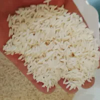 برنج فروش به شرط