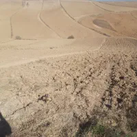 ۳۰۰ متر زمین حاشیه خ ابن سینا