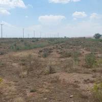 زمین کشاورزی دیم جنب شهرک گلخانه کوریجان|فروش دفتر صنعتی، کشاورزی، تجاری|همدان, |دیوار