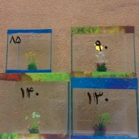 اکواریوم ماهی باشیشه ۶میل