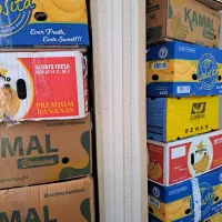 ۱۷ عدد کارتن موز کاملا سالم