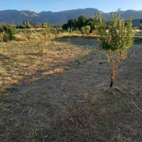 زمین باغی در شهر خوانسار