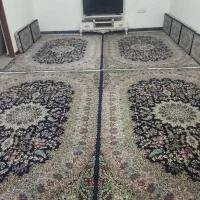 قالی 500شانه شش میتر 4عدد همراه با 6پشتی|فرش|مریوان, |دیوار