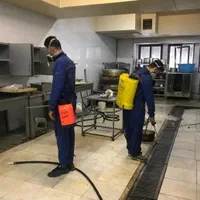 سمپاشی تخصصی ساس سوسک باتضمین کتبی سم پاشی|خدمات نظافت|مشهد, مشکینی (شهرک غرب)|دیوار