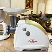 چرخ گوشت مولینکس اصل