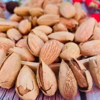 آغاز فروش نهال بادام درنهالستان قنبری|گل و گیاه طبیعی|ارومیه, |دیوار