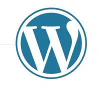 طراحی سایت حرفه‌ای فروشگاهی با وردپرس قیمت مناسب