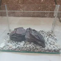 اکواریوم