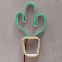 چراغ کاکتوسی در حد نو