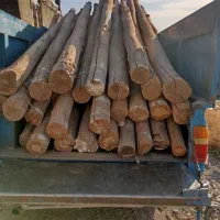 خریدچوب درخت چوب سقفی وهیزوم