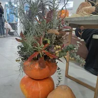 منشی سالن زیبایی|استخدام درمانی، زیبایی، بهداشتی|تهران, الهیه|دیوار