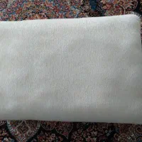 پشتی پته|پشتی|رفسنجان, |دیوار