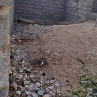 خانه حیاط دار|فروش خانه و ویلا|جهرم, |دیوار