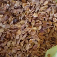 برگ زرد آلو  امسالی