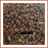 خرمای ضایعات کهنوج به صورت عمده خریداریم
