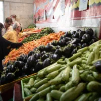 کارگر میوه فروشی ۱۶ متری مدنی