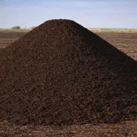 کود حیوانی پوسیده با کیفیت