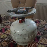 پیک نیک سالم