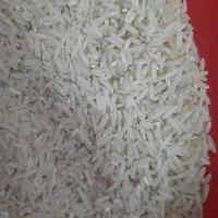برنج فجر سوزنی