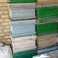 فروش کندو وطبق زنبور عسل