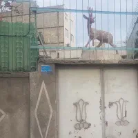 خانه ی ویلایی