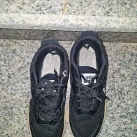 کفش|کیف، کفش، کمربند|دهدشت, |دیوار