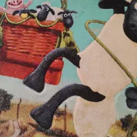 ست فرش و پرده بره ناقلا|فرش|تهران, وحیدیه|دیوار