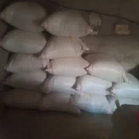 بره ۵۰ کیلوی