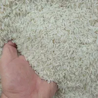 برنج ایرانی طارم محلی ۱۶۰۰۰۰ تومان|خوردنی و آشامیدنی|یزد, |دیوار