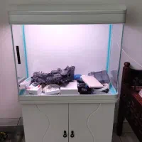 آکواریوم k800 دلسا