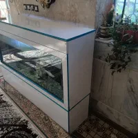 آکواریوم بزرگ|ماهی|زابل, |دیوار