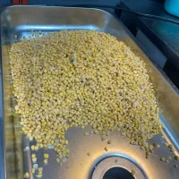 اشپز فست فودی